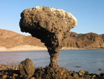 La Paz Mushroom Rock